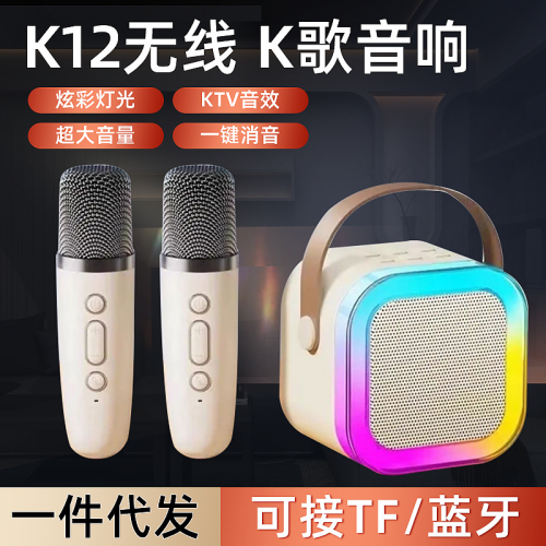 爆款音响K12话筒音箱一体麦克风迷你家用无线儿童K歌蓝牙