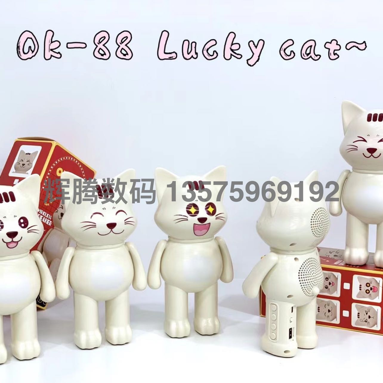 Product Image Gallery