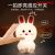Cute Rabbit Silicone Pat Lamp Cute Pet Sleeping with LED Ambient Light Pinch Decompression Light for Friends Gifts for Classmates Gifts