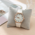 2023 Ladies New Belt Watch Gold Shell Acupuncture Needle Casual Fashion Quartz Watch Live Studio Best-Selling in Stock Wholesale