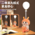 Cartoon USB Rechargeable Desk Lamp Second Gear Dimming Student Dormitory Bedside Small Night Lamp Pencil Sharpener