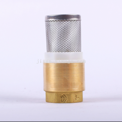 Brass Vertical with Net Plastic Core Check Valve Water Pump with Filter Net Check Valve Source Manufacturer