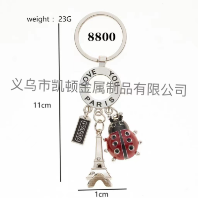 Mini Beetle Car Key Chain Personalized Insect Ladybug Pendant with Tag Small Paris Tower Keychain