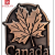 Canada Refridgerator Magnets Maple Leaf Red Bronze
