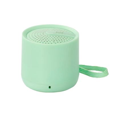 Wster Wireless Bluetooth Speaker WS-301 Bluetooth Audio USB Card Radio Portable Bluetooth Audio