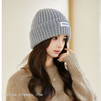 Xiaohongshu Same Style Winter Outdoors Cycling Leisure Thick Warm Small Thick Needle Cloth Label Korean Woolen Hat