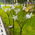 Wholesale Customized Solar Lamp Courtyard Garden Balcony Decoration Atmosphere Outdoor Waterproof Floor Outlet Five-Pointed Star Lawn Lamp
