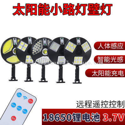Factory Direct Supply Monocrystalline Silicon Solar Human Body Induction Lamp Intelligent Light Sensing Led Roadside Long-Range Wide-Angle Lighting Lamp