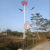 New Project Wind and Scenery Complementary Street Lamp New Rural Construction Outdoor Solar Energy High Poled Lamp 6 M Size Can Be Customized