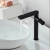 Special-Shaped New Copper Electroplating Basin Faucet Black Paint Brass Faucet Golden Faucet up and down Water Basin Faucet