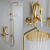 Golden Swan Shape Copper Basin Faucet Electroplating Color Washbasin Faucet Black Swan Shower Head Set