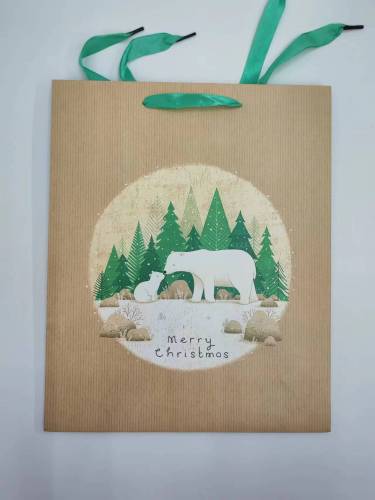 新210克白卡新款设计圣诞节主题礼品袋手提袋纸袋现货