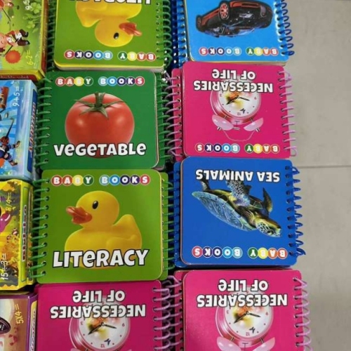 books for early education tearproof circle book literacy card picture reading （english version）