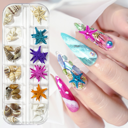 cross-border hot sale marine storm nail jewelry natural starfish conch shell slice abalone slice 12 grid mixed