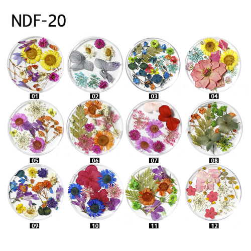 new nail beauty dried flower ornament wholesale 24 natural sunflower flowers starry decorative dried flowers small box