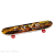 HJ-F080/F081/F082 huijun sports Skateboard