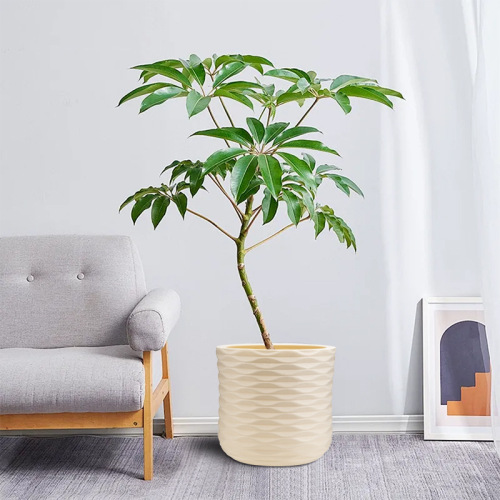 仿陶瓷大号花盆米色创意落地盆大型假树仿真植物装饰花盆塑料花盆