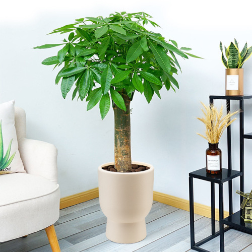 厂家批发大型仿真树装饰花盆大尺寸塑料花盆假花假树可续水种植盆