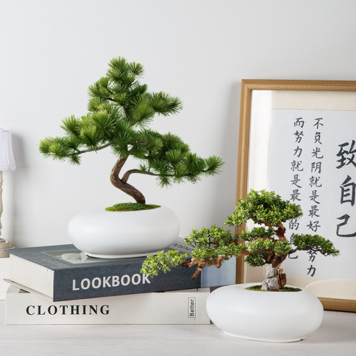 仿真植物小盆栽室内家居装饰假花松树绿植塑料摆件迎客松水培花瓶