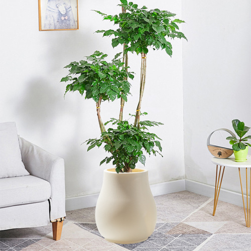 厂家批发仿水泥大口径塑料花盆大型仿真树假花装饰盆落地盆可蓄水