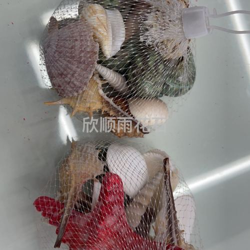 shell conch wholesale natural kindergarten ring creative toy gift fish tank landscaping decoration material factory wholesale