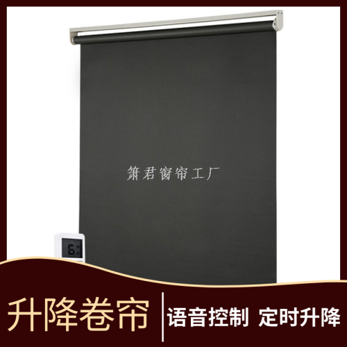 外贸窗帘遮光柔纱帘卷帘半遮光帘百叶窗帘卷帘日夜帘斑马帘窗饰