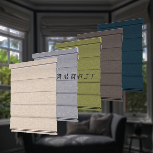 外贸窗帘遮光柔纱帘卷帘半遮光帘百叶窗帘卷帘日夜帘斑马帘窗饰