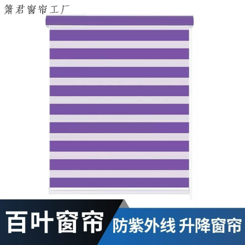 外贸窗帘遮光柔纱帘卷帘半遮光帘百叶窗帘卷帘日夜帘斑马帘窗饰