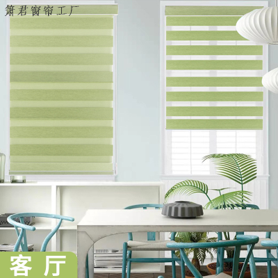 Foreign Trade Curtain Shading Soft Gauze Curtain Roller Shutter Half Light Shade Louver Curtain Roller Shutter Day & Night Curtain Double Roller Blind Tracery