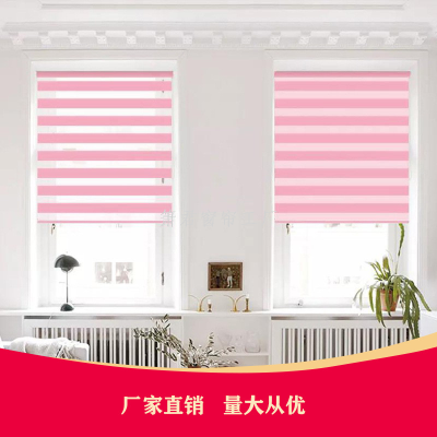 Factory Direct-Sale Zebra Curtain Monochrome Soft Gauze Curtain Day and Night Curtain Shading Semi-Shading Soft Gauze Curtain Shutter Shutter