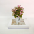New Artificial/Fake Flower Iron U Bucket Small Flower Bonsai Decoration Living Room Bedroom Dining Room