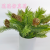 Artificial/Fake Flower Bonsai Ceramic Basin Green Plant Xiaoguozi Living Room Desk and Other Tables Ornaments