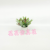 Artificial/Fake Flower Bonsai Ceramic Basin Green Plant Xiaoguozi Living Room Desk and Other Tables Ornaments