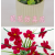 Artificial/Fake Flower Bonsai Ceramic Basin Small Flower Living Room Desk Wine Cabinet and Other Ornaments