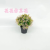 Artificial/Fake Flower Bonsai Plastic Basin Colorful Green Plant Desk Wine Cabinet Dining Table and Other Ornaments