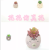 Artificial/Fake Flower Bonsai Cement Pots Succulent Living Room Dining Room Bar Counter and Other Ornaments