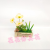 Artificial/Fake Flower Bonsai Wooden Box Small Flower Living Room Dining Table Bar Counter Decoration Decorations