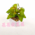 Artificial/Fake Flower Bonsai Plastic Basin Green Plant Leaves Living Room Dining Table Dresser and Other Ornaments