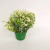 New Artificial/Fake Flower Plastic Basin Greenery Bonsai Decoration Living Room Bedroom Dining Room and So on