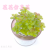 Artificial/Fake Flower Bonsai Multi-Meat Living Room Dining Room Bar Counter and Other Ornaments