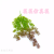 Artificial/Fake Flower Bonsai Wall Hanging Green Plant Living Room Coffee Shop Office and Other Decorations