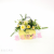 Artificial/Fake Flower Bonsai Wooden Basket Small Chrysanthemum Bedroom Bar Desk and Other Decoration Ornaments