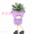 Artificial/Fake Flower Bonsai Cartoon Multi-Meat Living Room Wine Cabinet Desk and Other Furnishings Ornaments
