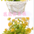 Artificial/Fake Flower Bonsai Iron Frame Mesh Basin Green Plant Ball Living Room Dining Table Desk and Other Decorations