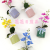 Artificial/Fake Flower Bonsai Ceramic Basin Phalaenopsis Furnishings Ornaments Living Room Dining Table Wine Cabinet, Etc.