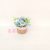 Artificial/Fake Flower Bonsai Hemp Rope Woven Pots Hydrangea Bud Living Room Dining Table and Other Ornaments