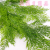Artificial/Fake Flower Bonsai Wall Hanging Green Plant Leaves Living Room Restaurant and Cafe and Other Decorations