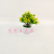 Artificial/Fake Flower Bonsai Plastic Basin Small Flower Dining Table Bar Office Decoration Decorations