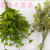 Simulation Fake Flower Bonsai Single Green Plant Grass Wall Hanging Or Vase Daily Furnishings Ornaments
