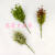 Simulation Fake Flower Bonsai Single Green Plant Grass Wall Hanging Or Vase Daily Furnishings Ornaments